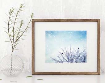 Winter Wall Decorations - Blue Nature Print, Bird Photography, Modern Christmas Decor, Holiday Decor, Photo Gifts