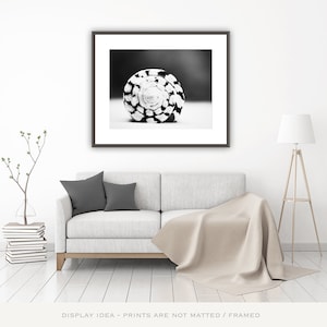 Black White Print Seashell Wall Art - Modern Coastal Decor, Shell Artwork, Beach Photography, Sea Shell Wall Decor, Pictures Above Couch