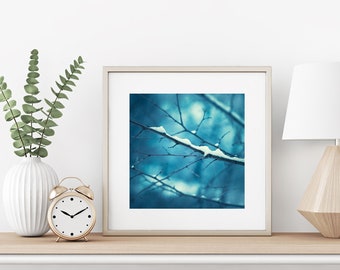 Winter Wall Decorations - Blue Nature Print, Snow Photo, Branch Wall Decor, Christmas Decoration, Botanical Print Branch, Holiday Decor