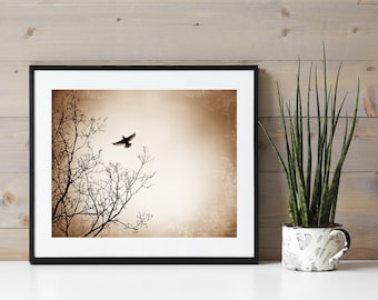 Bird Photography, Rustic Country Home Decor, Modern Farmhouse Prints, Brown Nature Photos, Woodland Decor, Beige Black Neutral Wall Art