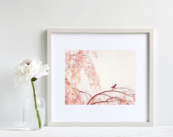 Light Pink Wall Art - Bird Photography, Girl Nursery Prints, Girls Bedroom Decor, Nature Photos, Pastel Wall Art, Little Girl Room Decor