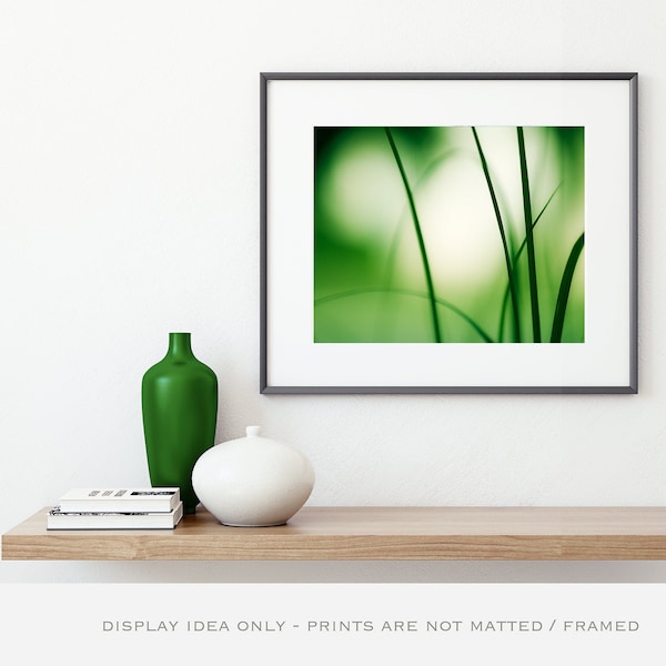 Abstract Art Prints Green - Modern Home Decor, Office Wall Art, Botanical Photo, Photography Nature, Original Art Prints for Framing