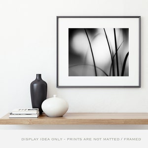 Black and White Nature Photography - Original Artwork Abstract, Modern Home Decor, Minimal Wall Art, Fine Art Photographs, Grey Wall Decor