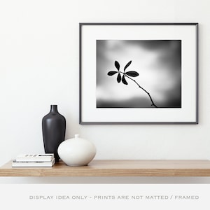 Fotografía de naturaleza en blanco y negro - Minimalista moderno - Impresión botánica de arte mural neutro