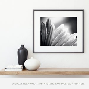 Bedroom Wall Art Over the Bed Black and White Nature Photography, Abstract Prints, Daisy Wall Art, Flower Wall Decor, Modern Print, Grey image 4