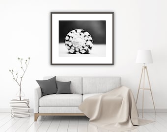 Black White Print Seashell Wall Art - Modern Coastal Decor, Shell Artwork, Beach Photography, Sea Shell Wall Decor, Pictures Above Couch