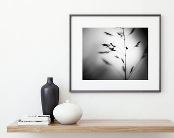 Black and White Nature Photography - Abstract Prints, Modern Minimalist, Office Wall Art, Botanical Photo, Grey Wall Decor, Plant Print Gray
