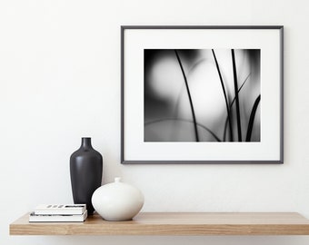 Black and White Nature Photography - Original Artwork Abstract, Modern Home Decor, Minimal Wall Art, Fine Art Photographs, Grey Wall Decor