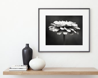 Black and White Photography - floral photography flower photograph monochromatic black white wall art print nature - 11x14, 8x10 Photograph