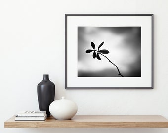 Black and White Nature Photography - Modern Minimalist, Neutral Wall Art, Botanical Print