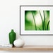 see more listings in the Nature, Botanical Prints section
