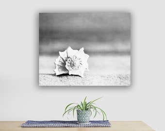 Coastal Artwork Canvas Prints - Sea Shell Wall Decor, Black White Print, Seashell Wall Art, Beach House Gallery Wrap in Grey and White