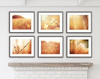 Gold Print Photo Set, Six Photographs 11x14, 8x10, 5x7 fall orange photography brown nature print set golden flower wall art botanical decor