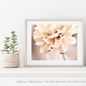 Cream Botanical Photo, Nature Photography Prints, Pale Beige Flower Art, Modern Home Decor, Neutral Wall Art, Bedroom Pictures, Floral Print