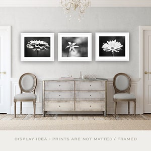 Black and White Flower Photography Set, Three Floral Prints, 11x14, 8x10, 5x7, 3 dark grey gray modern photographs neutral wall art photos