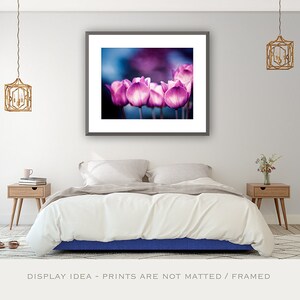 Impresión fotográfica de tulipán rosa - Decoración de pared botánica en azul púrpura