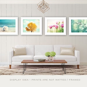 Four Seasons Wall Art Set of Four Prints, Photography Nature, Living Room Decor image 1