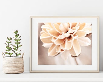 Cream Botanical Photo, Nature Photography Prints, Pale Beige Flower Art, Modern Home Decor, Neutral Wall Art, Bedroom Pictures, Floral Print