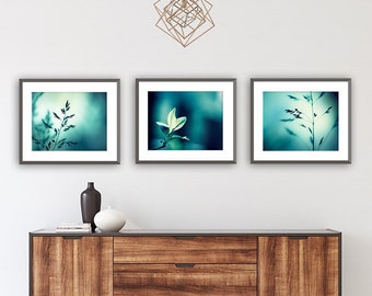 Teal Photography Set - Three Nature 11x14, 8x10 Photographs, dark aqua turquoise blue 3 photo set botanical photography modern wall pictures