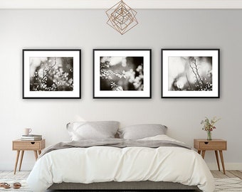 Black and White Nature Photography Set, Three Botanical Prints, 11x14, 8x10, 5x7, dark grey gray modern fine art photographs branch wall art