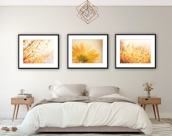 Set of Three Nature Photographs - yellow gold photography flower floral wall art spring mustard print set branches photo 11x14, 8x10, 5x7