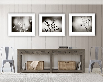 Black and White Botanical Photography Set, Three Nature Prints, 11x14, 8x10, 5x7, dark grey gray branches photographs branch modern wall art