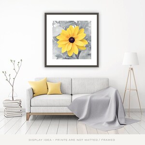 Yellow and Gray Wall Art, yellow grey flower photography nature print large nursery decor baby little girls room botanical photo, &quot;Happy&quot;