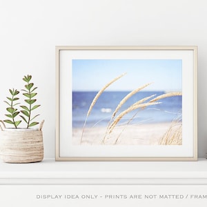 Beach Grass Photography - grasses calming ocean blue light beige sea white cream nature print coastal wall art - 11x14, 8x10 Photograph