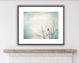 Bird Photography, Farmhouse Art Work, Rustic Country Home Decor, Above the Fireplace Decor, Light Blue Prints, Nature Photos