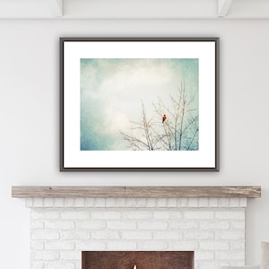 Farmhouse Wall Decor Living Room, Bird Photography, Modern Rustic Decor, Country Artwork, Light Blue Prints, Nature Photos, Robin Bird, Tree