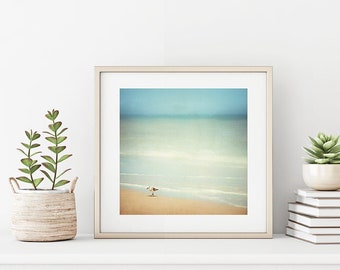 Beach Photography - sandpiper bird wall print light blue white cottage ocean photography beige seashore sea shore - 8x8, 12x12 Photograph