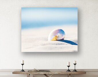 Seashell Print Large Canvas Art - Coastal Cottage Decor, Beach Canvas Wall Art, Shell Artwork in Light Blue and White