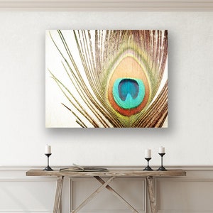 Peacock Wall Art Canvas, Modern Rustic Decor, Feather Wall Art, Farmhouse Photography Nature, Country Artwork, Brown Orange, Teal Turquoise