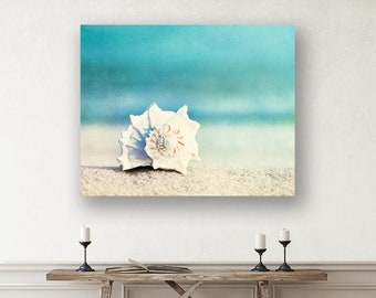 Sea Shell Wall Decor - Beach Canvas Wall Art, Shell Artwork, Coastal Cottage Decor, Beach House Gallery Wrap in Aqua, White, Beige