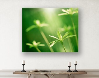 Botanical Art, Modern Canvas Wall Art Prints Green, Plant Wall Hanging, Woodland Decor, Photography Nature