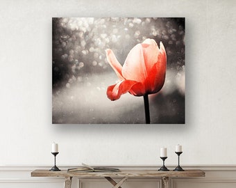 Modern Canvas Wall Art - Coral Colored Decor Black, Red Wall Art, Teen Girl Wall Art, Flower Photography, Botanical Art, Sparkly Tulip Print