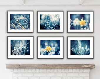 Prints Set of 6 Navy Blue Wall Art, Nature Photography Set of Six Prints, Yellow Gallery Wall Art Set, Dark Botanical Photo, Living Room