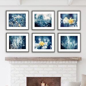 Prints Set of 6 Navy Blue Wall Art, Nature Photography Set of Six Prints, Yellow Gallery Wall Art Set, Dark Botanical Photo, Living Room