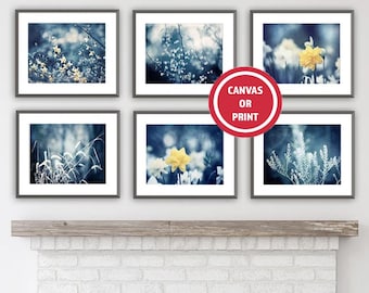 Conjunto de 6 quadros para parede, em azul marinho e amarelo, com fotografias impressas ou em tela, tema botânico e perfeito para colocar sobre a lareira.