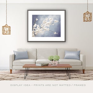 Floral Photography light steel blue white nursery grey gray branch spring wall print flower blossom nature photograph, Autograph of Angels image 3