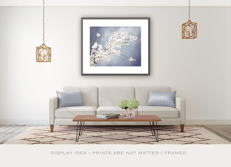 Floral Photography light steel blue white nursery grey gray branch spring wall print flower blossom nature photograph, Autograph of Angels image 3