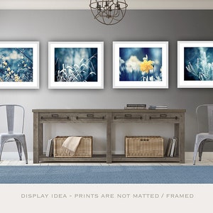 Navy Yellow Nature Photographs, 11x14, 8x10, 5x7 prints dark blue yellow white botanical photography gallery wall art set of four pictures