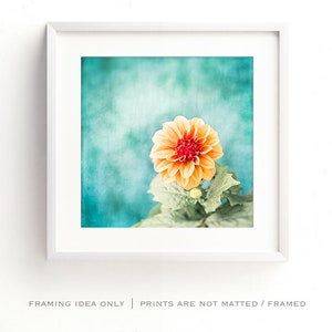 May include: A framed print featuring a close-up of an orange dahlia flower with a red center, set against a textured teal background. The flower is surrounded by green leaves. The white frame has the text: FRAMING IDEA ONLY | PRINTS ARE NOT MATTED / FRAMED.