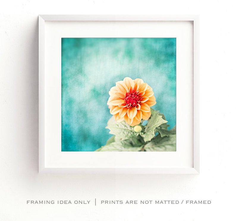 May include: A framed print featuring a close-up of an orange dahlia flower with a red center, set against a textured teal background. The flower is surrounded by green leaves. The white frame has the text: FRAMING IDEA ONLY | PRINTS ARE NOT MATTED / FRAMED.