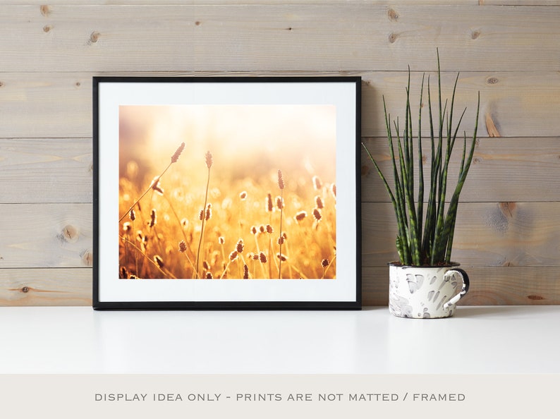 Mustard Yellow Decor Botanical Print, Gold Wall Art, Fine Art Photographs, Nature Wall Art image 5