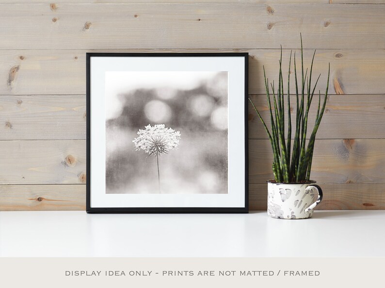 Above Bed Art Black and White Nature Photography Botanical Etsy