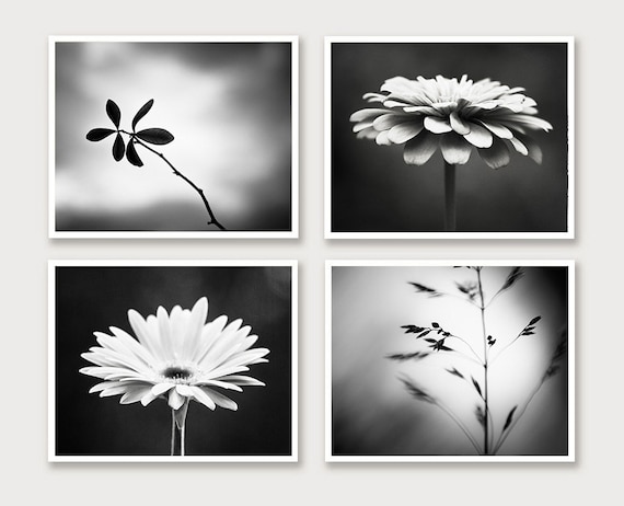 Black and White Photography Set Four Photographs 4 Nature Flower Modern  Prints Dark Grey Decor Gray Wall Art Botanical Photo Set Artwork - Etsy