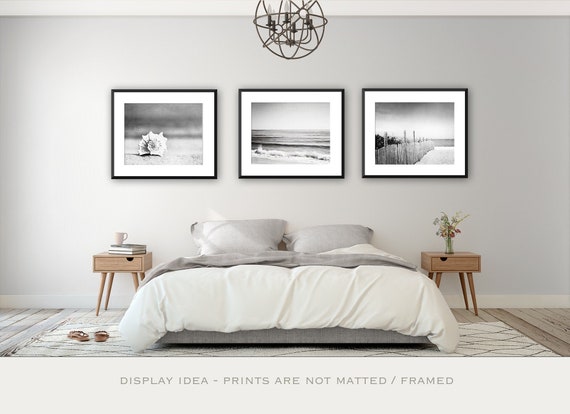 Schwarz Und Weiss Strand Foto Set Drei 3 Muschel Ozean Fotografie Grau Grau Galerie Kusten Wandbilder Nautischen Kunstwerk 11 X 14 8 X 10 5 X 7