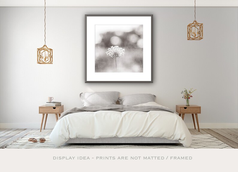 Above Bed Art Black and White Nature Photography Botanical Etsy