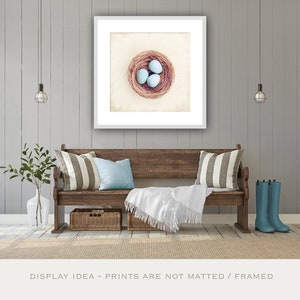 Farmhouse Photography Bird Eggs Print Country Artwork, Modern Rustic Decor, Robins Egg Blue Decor, Large Nature Prints, Cream Beige Brown image 4